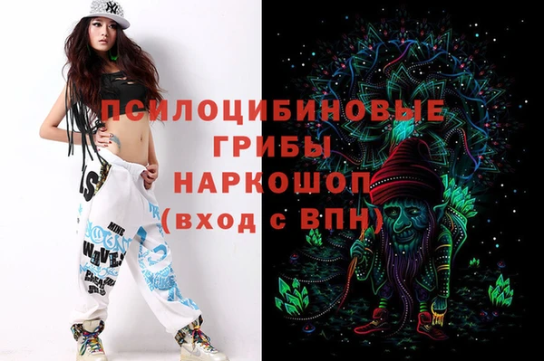 гашик Куйбышев