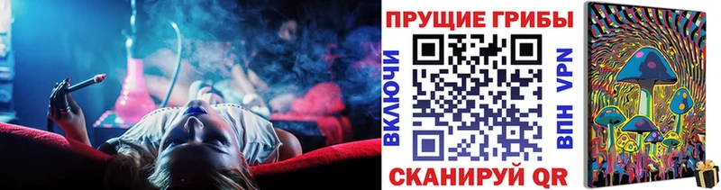где продают наркотики  Вологда  Псилоцибиновые грибы GOLDEN TEACHER 