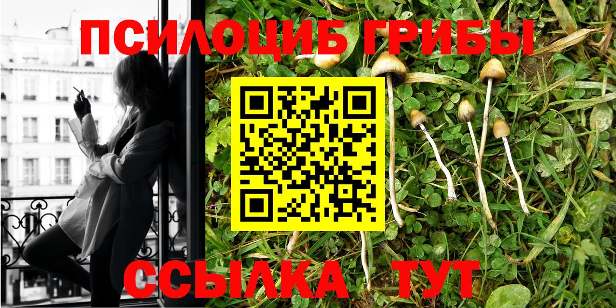 Псилоцибиновые грибы мицелий Вологда
