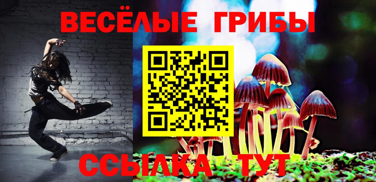 Галлюциногенные грибы MAGIC MUSHROOMS  Вологда  Галлюциногенные грибы MAGIC MUSHROOMS 