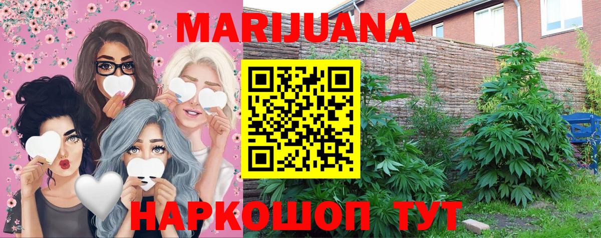 Бошки Шишки план Вологда